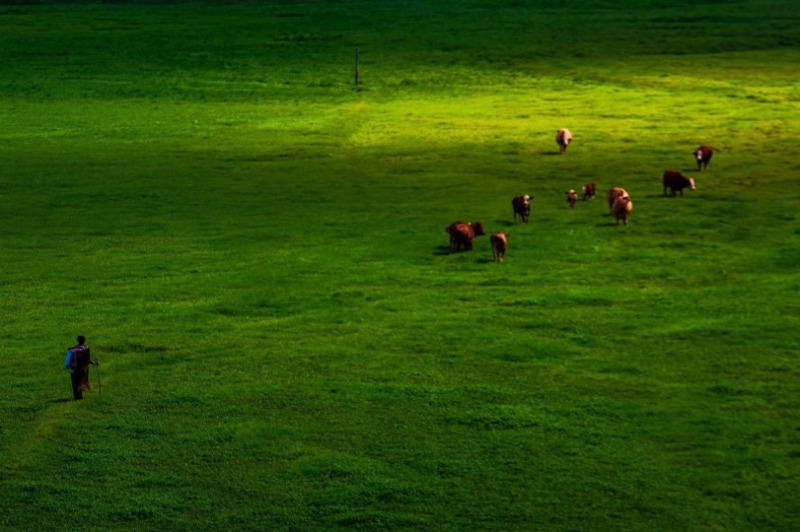 云南旅游攻略强烈建议收藏,收藏云南自驾旅游地图全集
