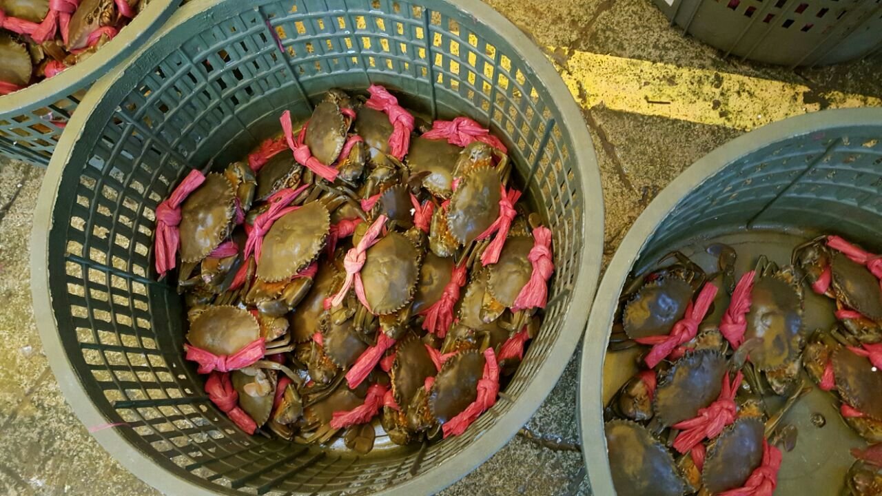 与澳门隔江相望,离澳门最近的海鲜加工市场