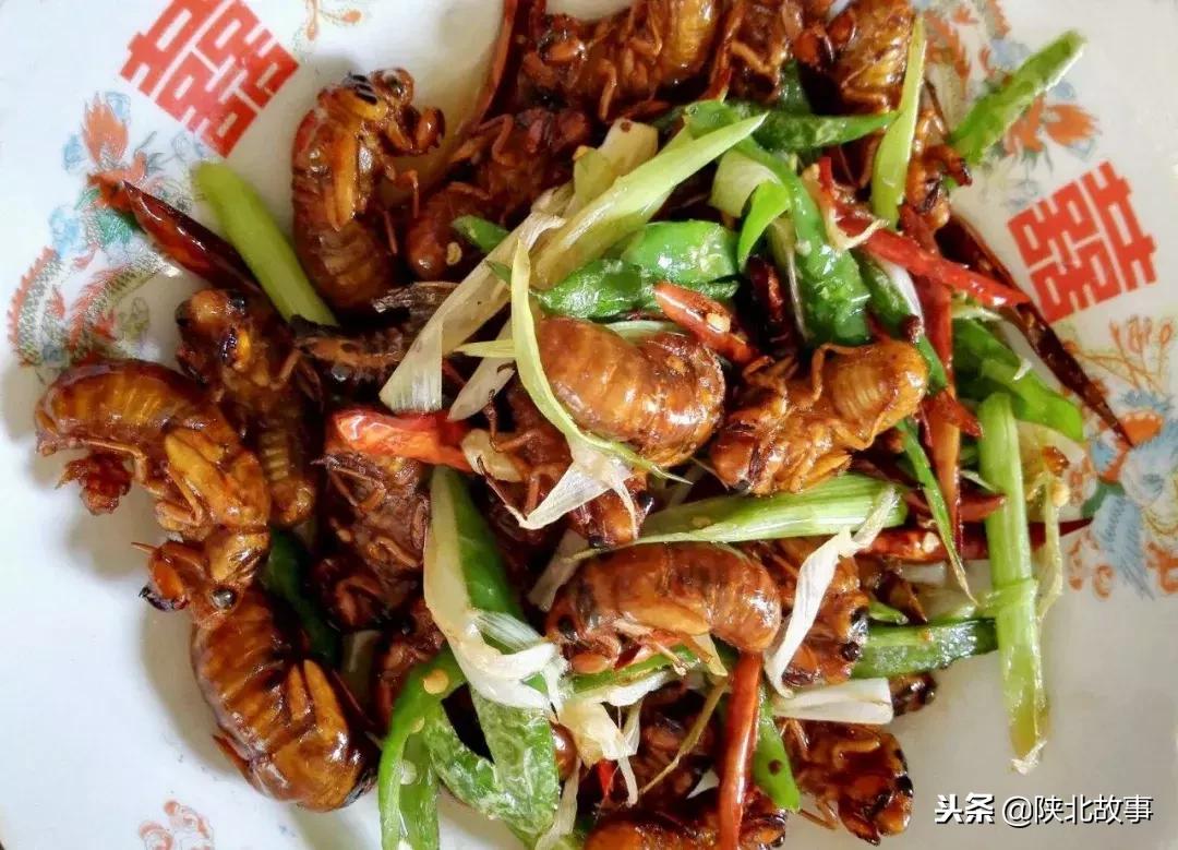 这个最适合冬天来的北方小城，光是海鲜就能让你吃回票价