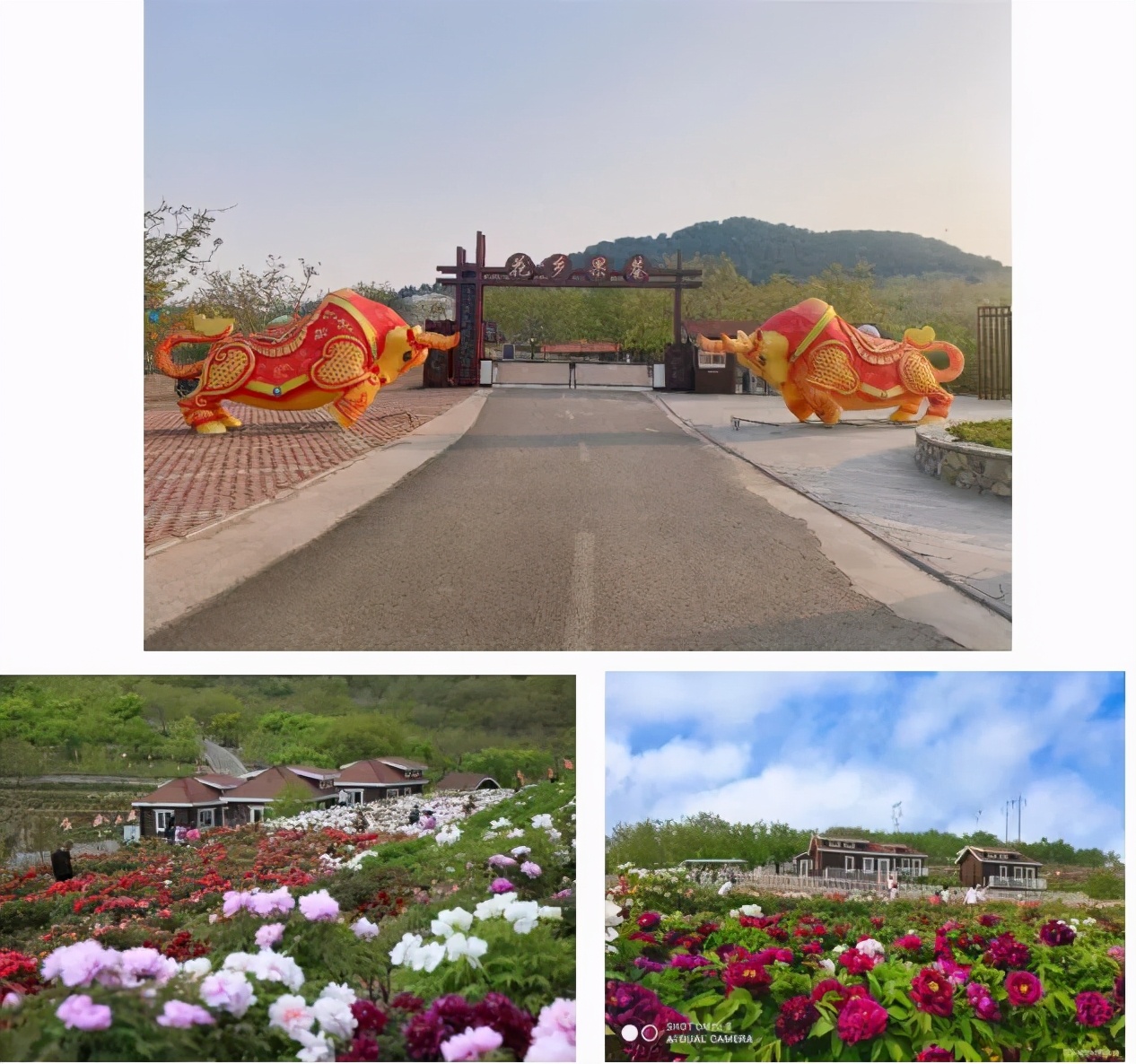2019年惠民旅游卡景点介绍,2021年唐山市文化旅游惠民卡