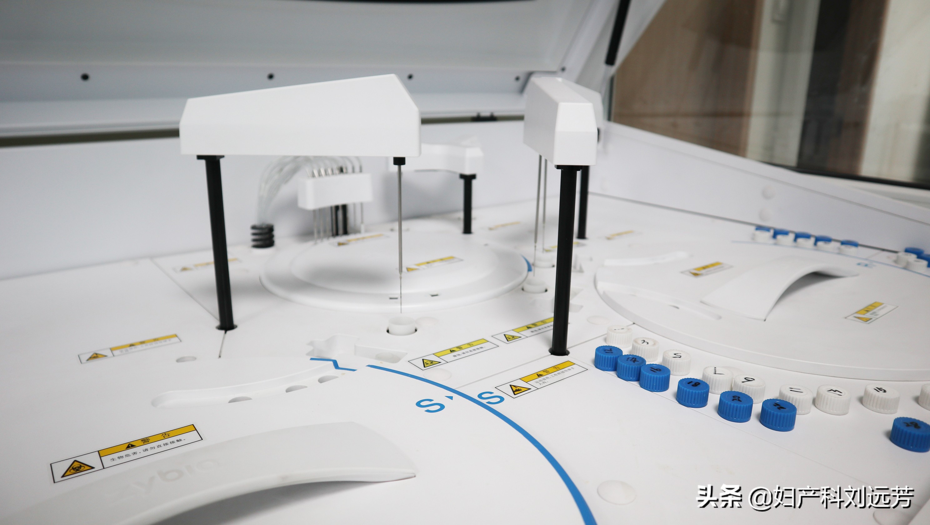 下身总是长脓包容易成宫颈癌吗,老太长痘