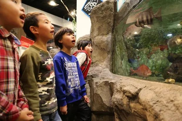 大阪两天攻略,最新日本大阪攻略