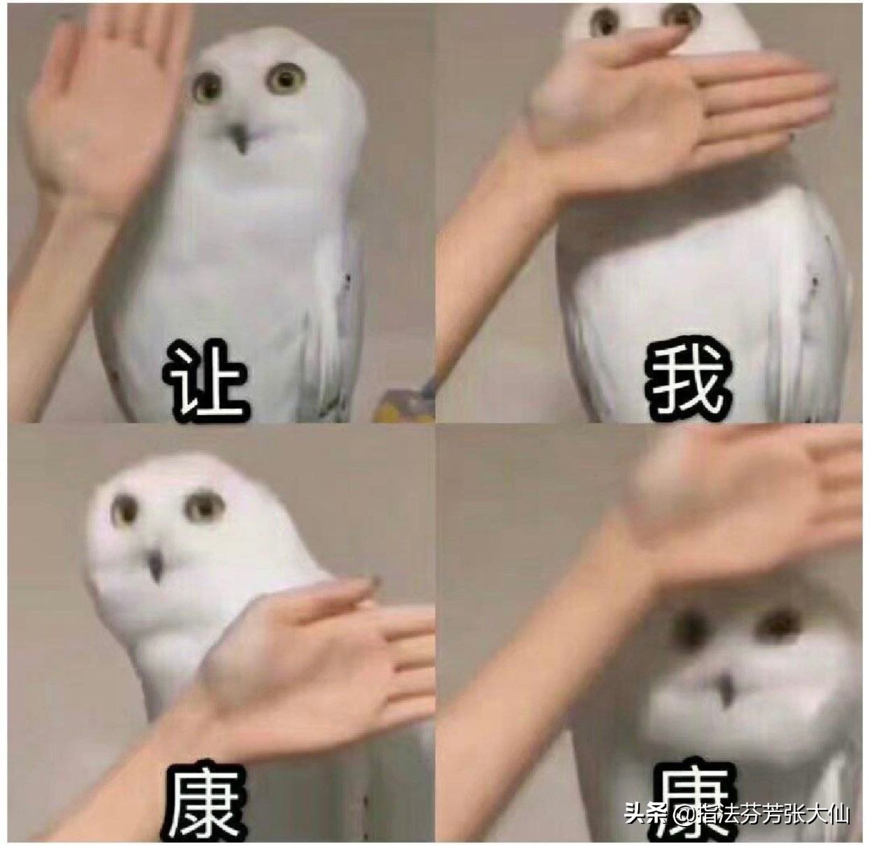 鏂扮毊鑲ょ垎鏂欎綘鐨勯挶鍖呭噯澶囧ソ浜嗗悧,鏂扮毊鑲ゆ潵浜嗕綘鐨勯挶鍖呭噯澶囧ソ浜嗗悧