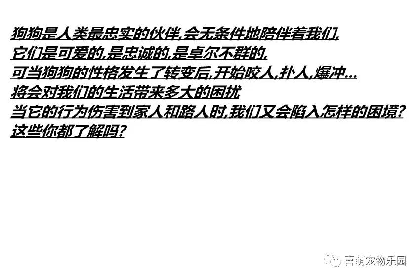 边牧犬对主人的忠诚度怎么样,边牧为什么对主人很听话
