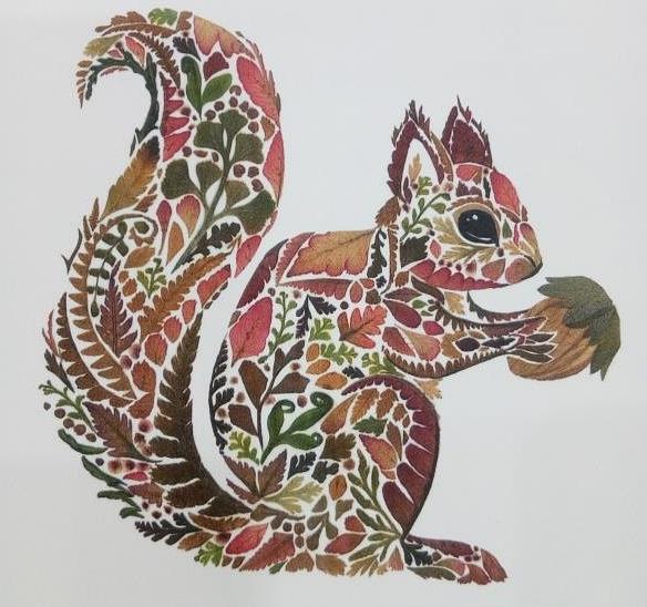 自然博物之旅,自然博物之旅感悟收获