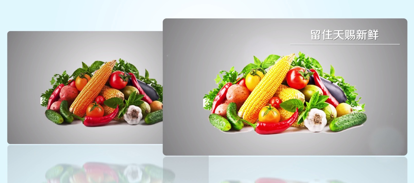 苏宁小biu冰箱测评,小biu法式四门冰箱测评