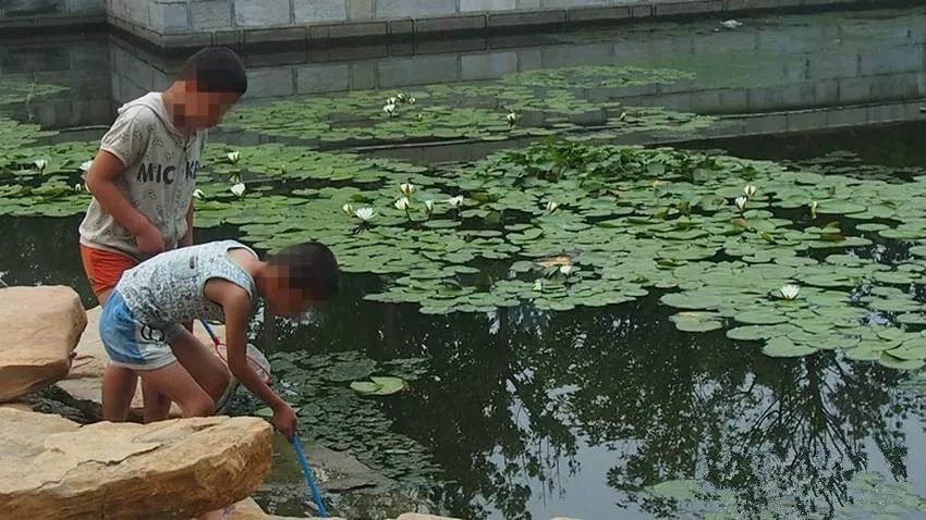 广西梧州1997年身份证,身份证是1999年的照片