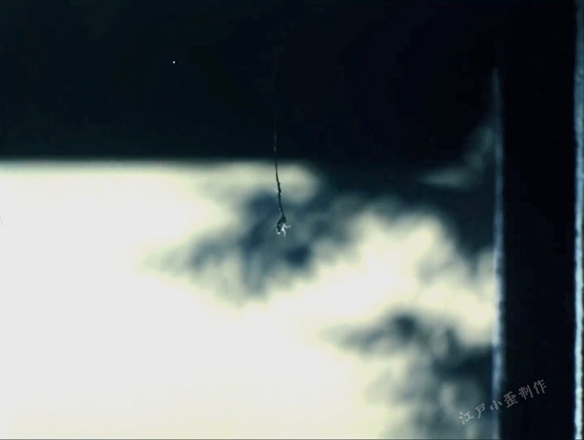 细思极恐无法遁逃后续,细思极恐完整版视频