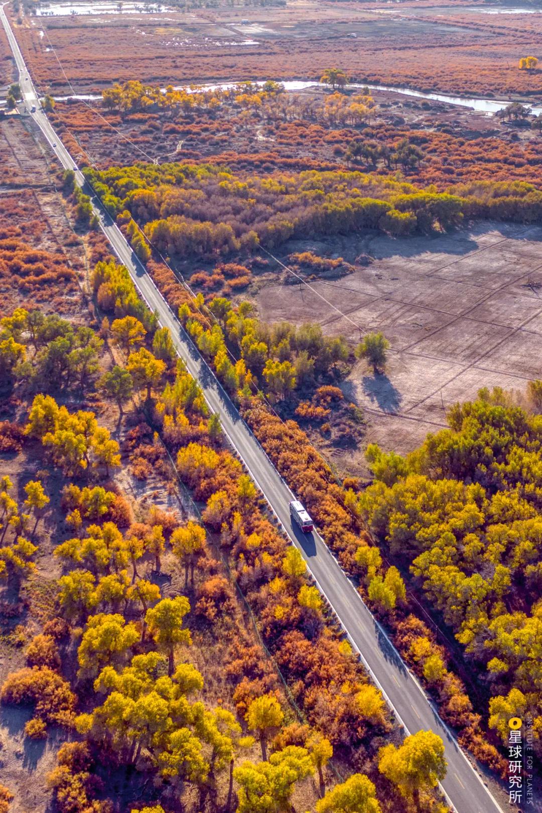 中国植树造林面积,中国植树造林成果国外有什么看法