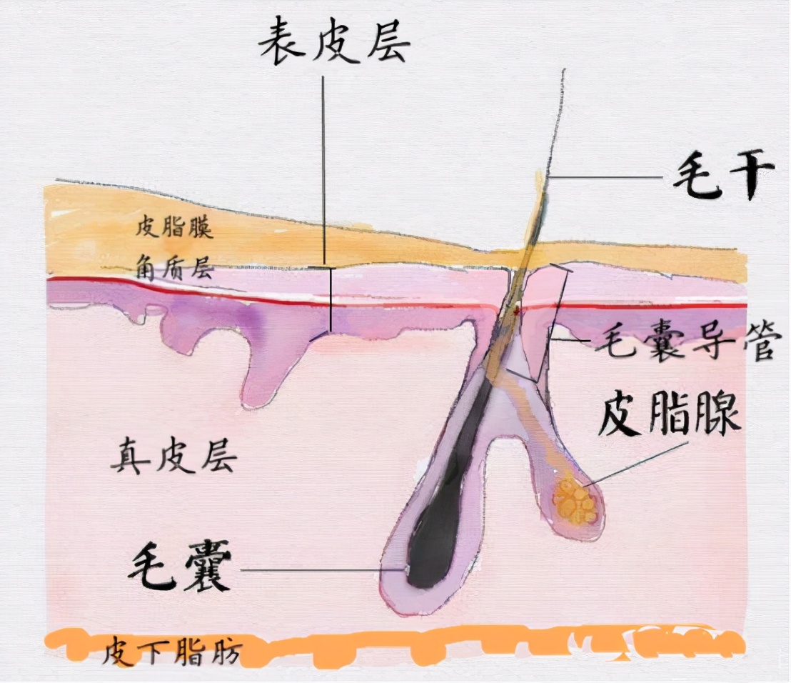 药学博士十大骗局,医学博士生护肤圈最大谎言