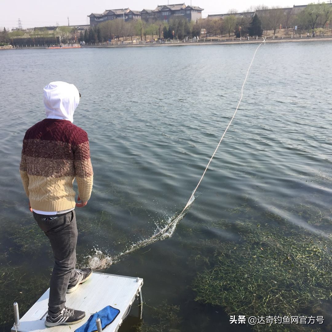 野河有水草的地方鱼多吗,水底有烂水草多怎么钓鱼