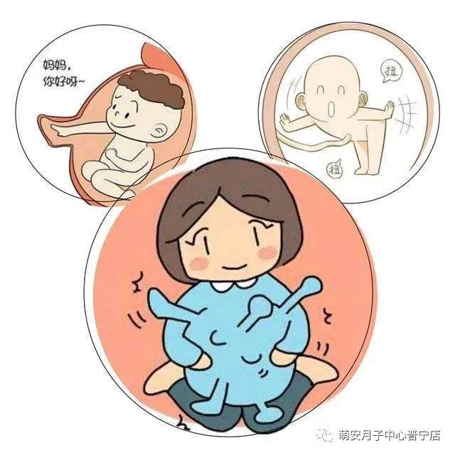 孕期小知识图片大全,孕期小知识大全及图片