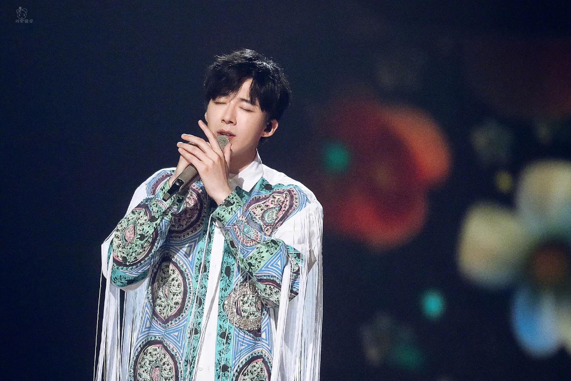 刘宇宁采摘珍稀植物图片,网红刘宇宁采摘