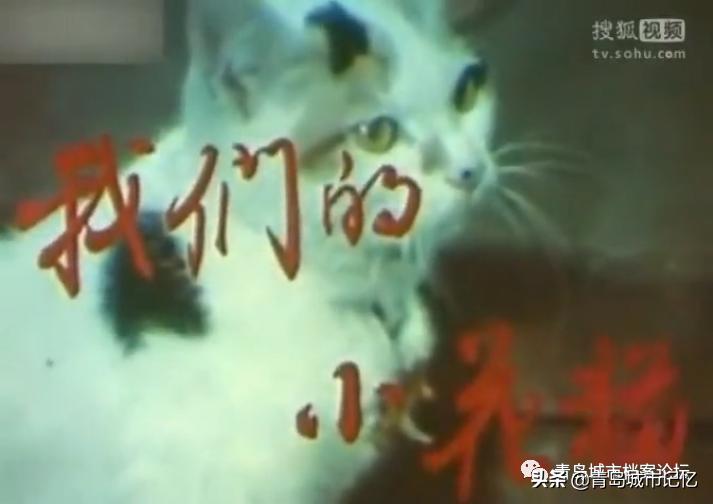 青岛小青岛取景的电影,曾经在青岛拍摄过的少儿题材电影