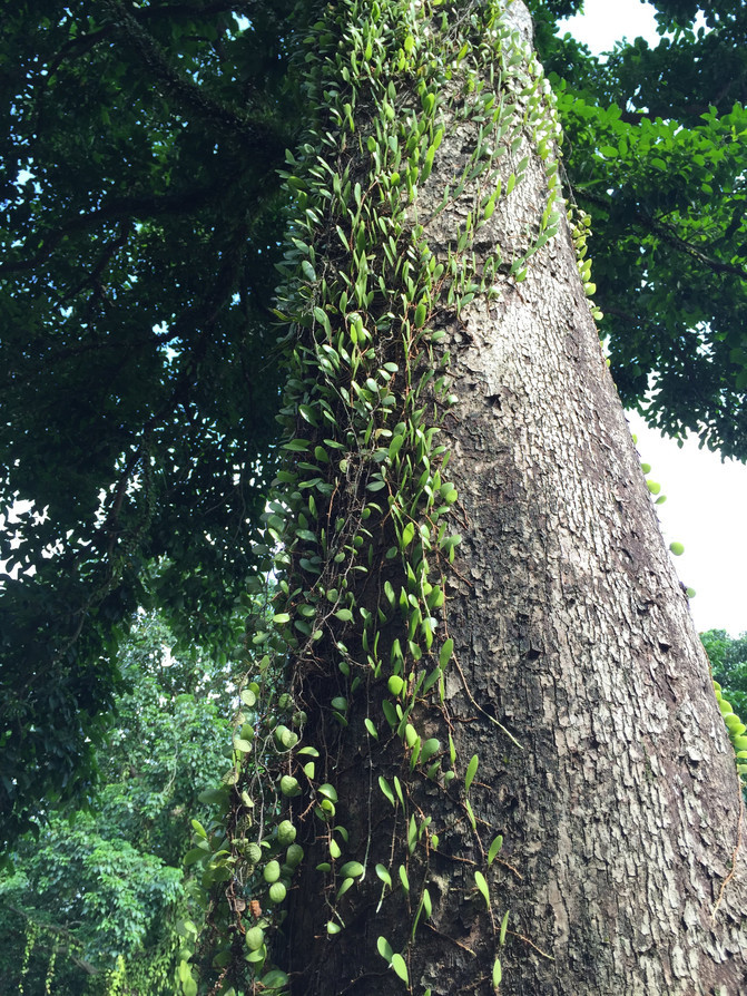 在这个阳光明媚的春季,在这个阳光灿烂的日子里