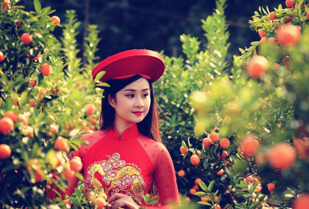 华人在越南经济地位,华人在越南的历史