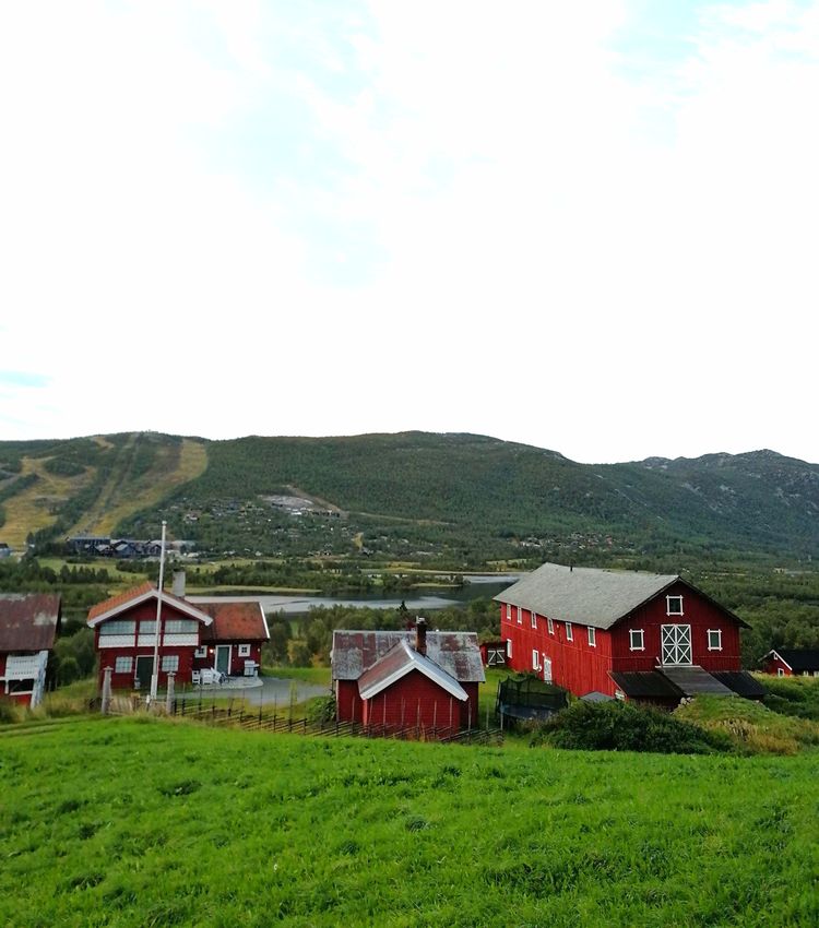 北欧半岛游记挪威,北欧四国之挪威风光