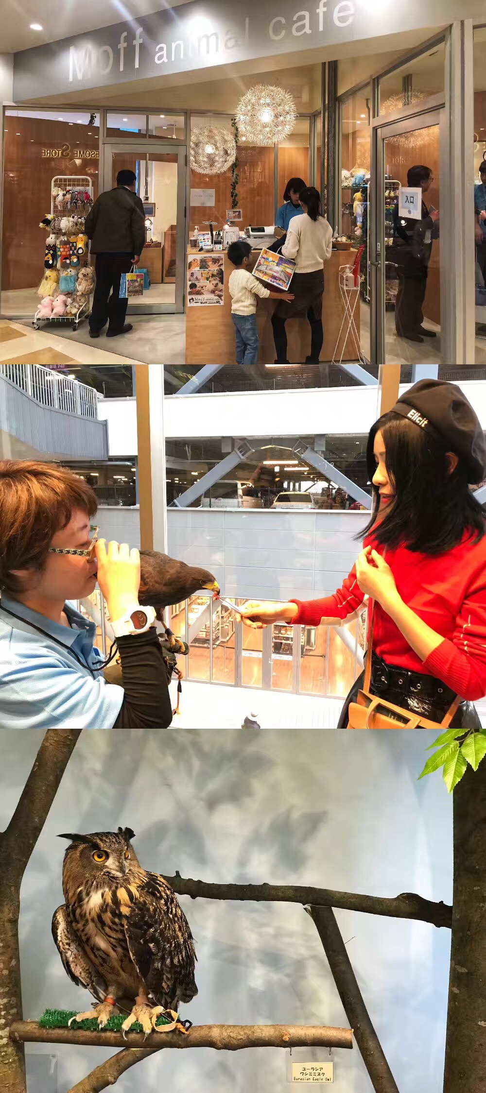 日本银座必买的地方,日本购物必买的10个地方