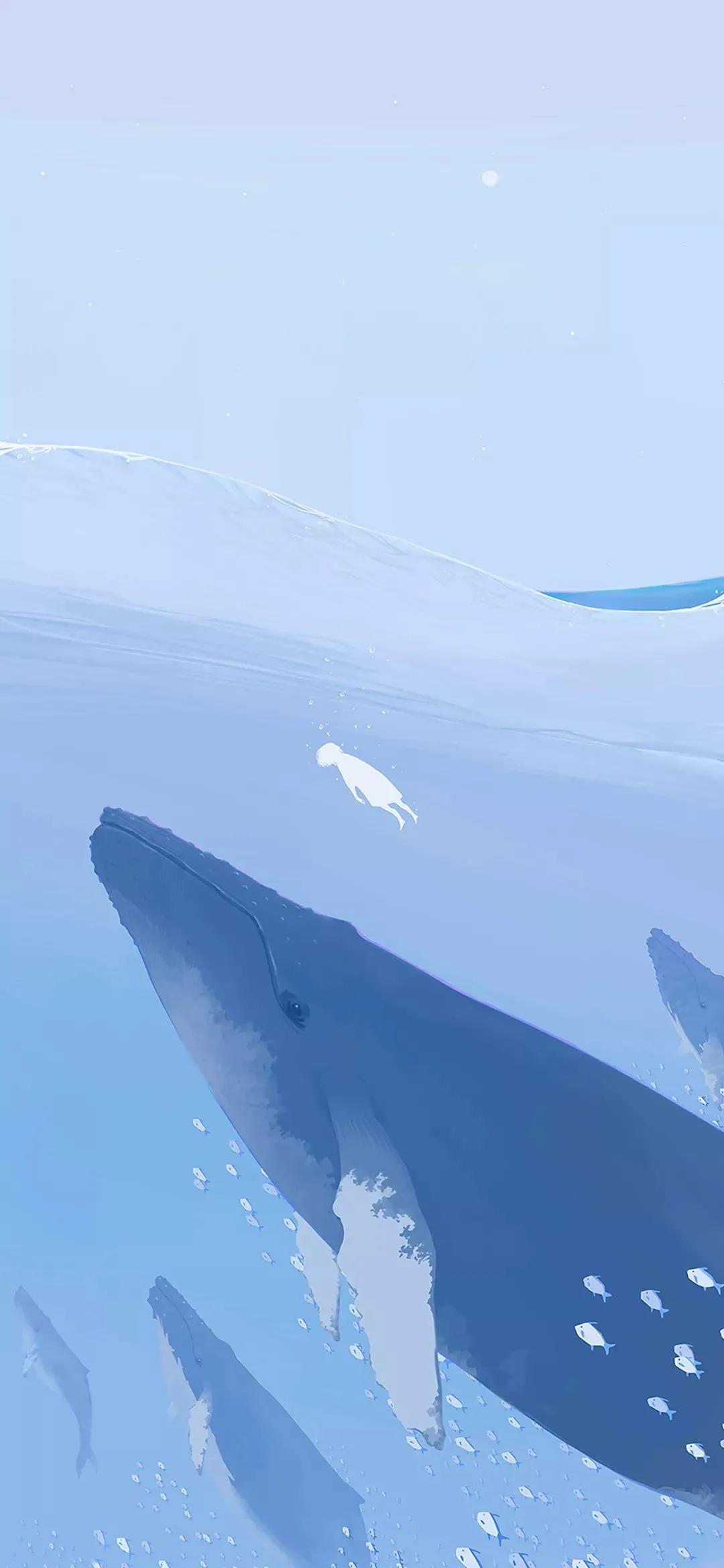 超清浅色系iphone壁纸,浅色系动漫壁纸