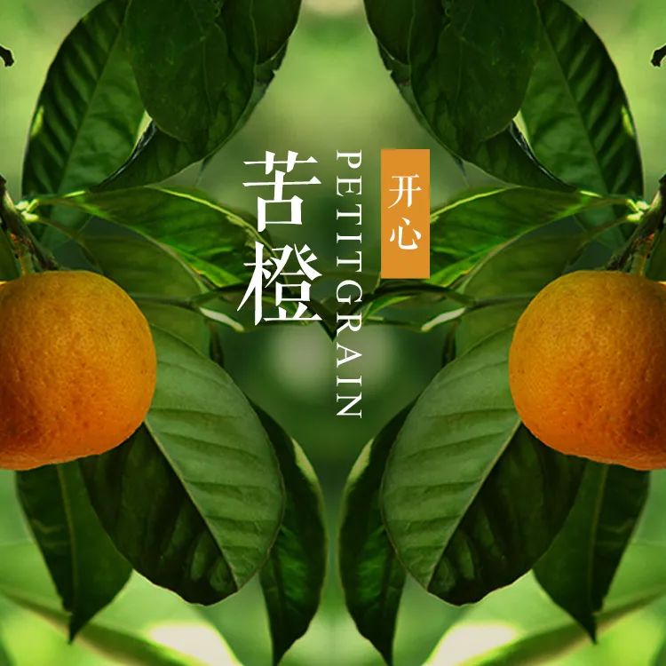 安神舒缓精油怎么调配,各种精油的调配方法和功效