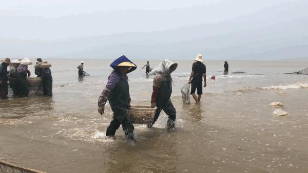 吴阳拉大网后续,吴阳直播海鲜