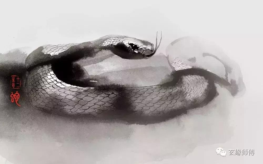 十二生肖最幸福配对表,十二生肖情侣必看生肖婚配