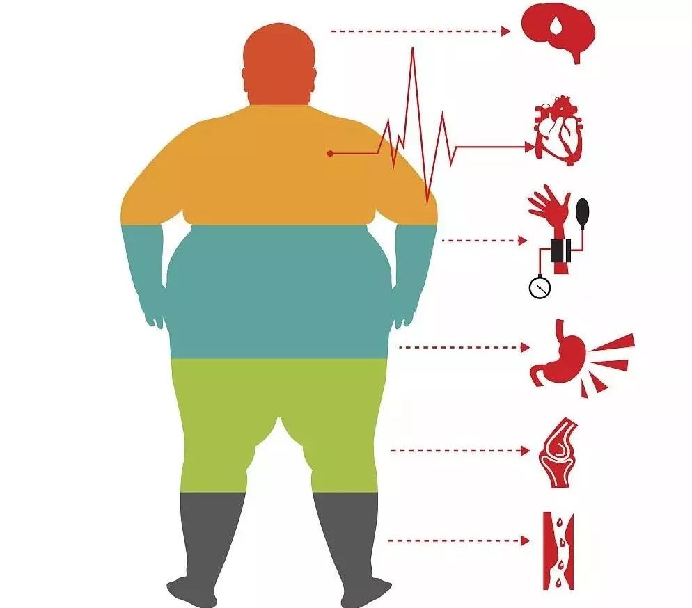 切掉一部分胃可以减肥吗,切掉半个胃能减多少斤