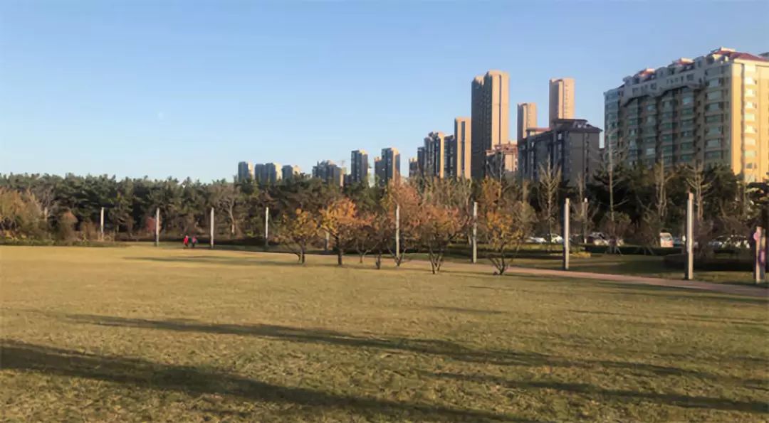 威海九龙湾海港的房子值不值得买,威海九龙湾片区