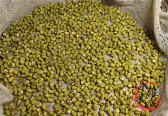 发豆芽的常识和技巧,发豆芽的七个步骤