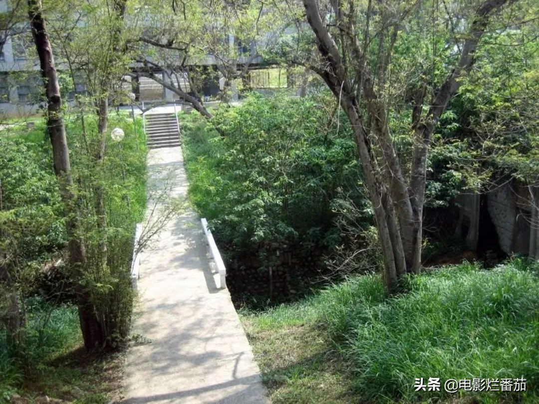 故事很吓人的,很可怕的一个故事恐怖片