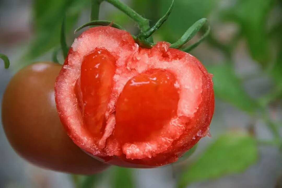 他被称为“东方亨氏”，澄明如何用1年创造3亿销量的商业神话