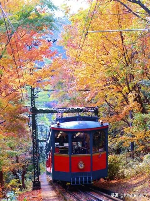 去日本神户还是奈良,到了大阪先去神户还是奈良