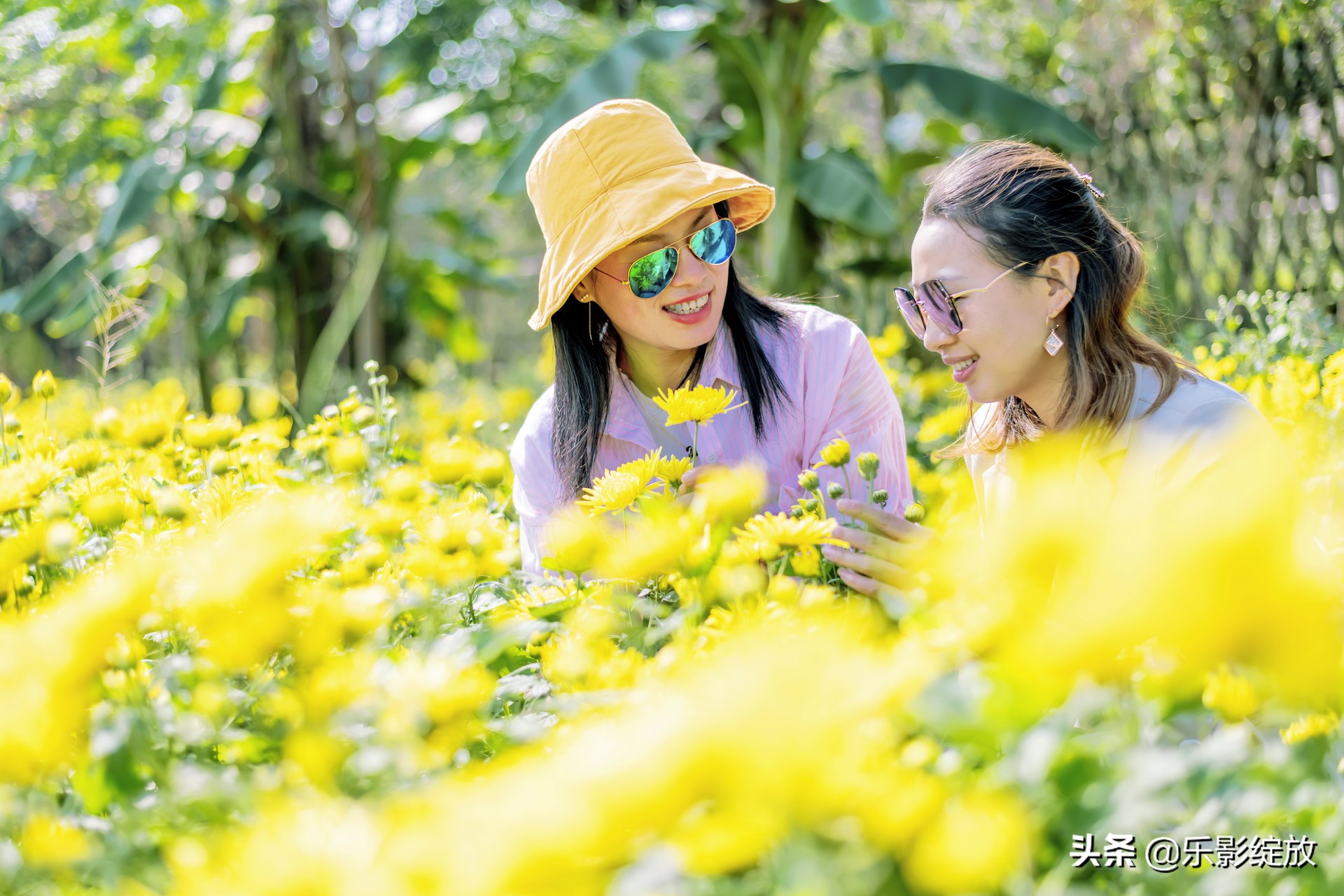 带小花狗去野外生存,带着小花去兜风