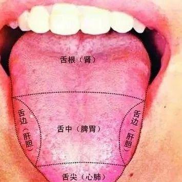 孩子体内有积滞和湿热怎么办,小孩体内热怎么调理最快