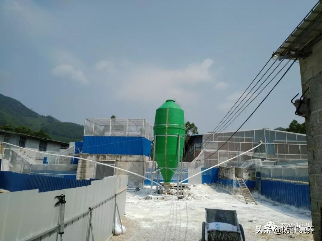 非瘟预防消毒,非瘟防控刻不容缓