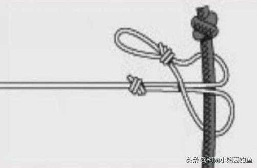 钓鱼主线打结方法,钓鱼鱼线怎么打结方法图解