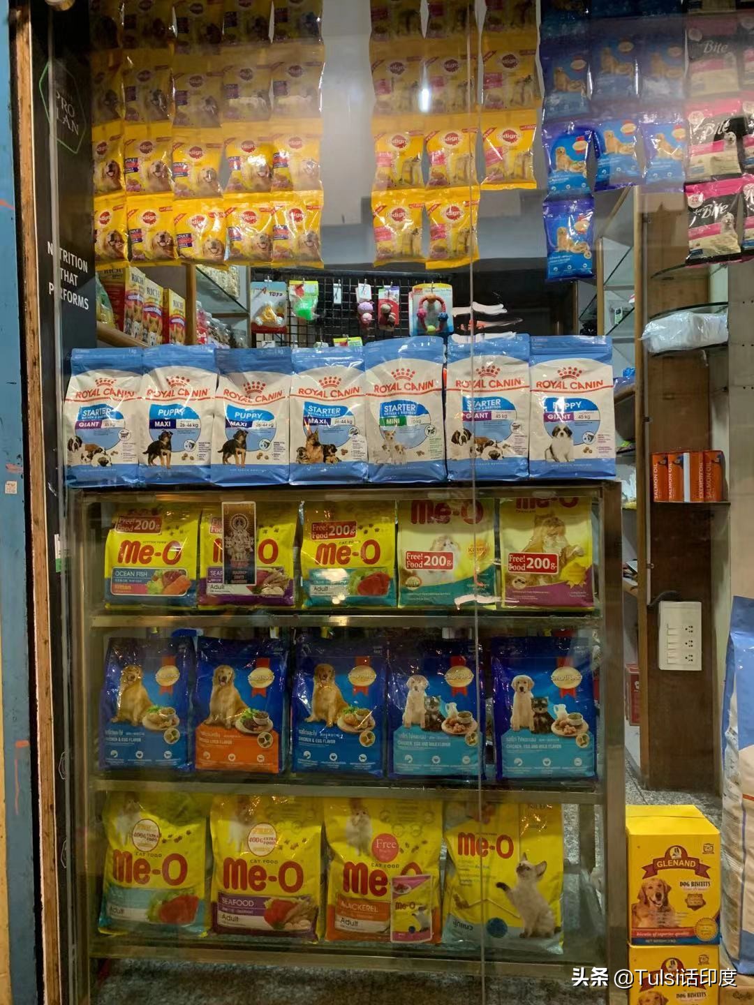 印度猫粮市场 (印度猫粮批发市场)