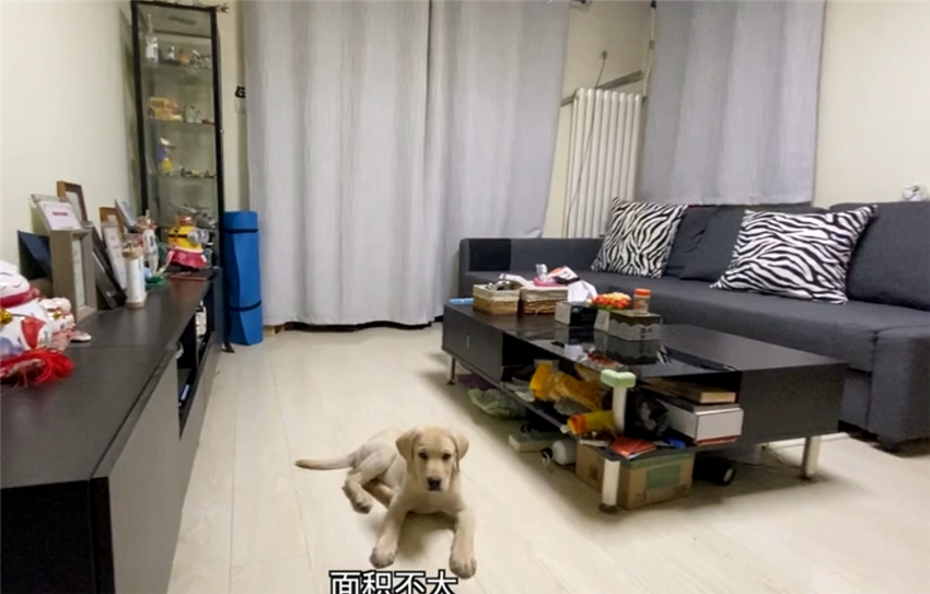 花8万改造北京小院,北京姑娘214天改造小院