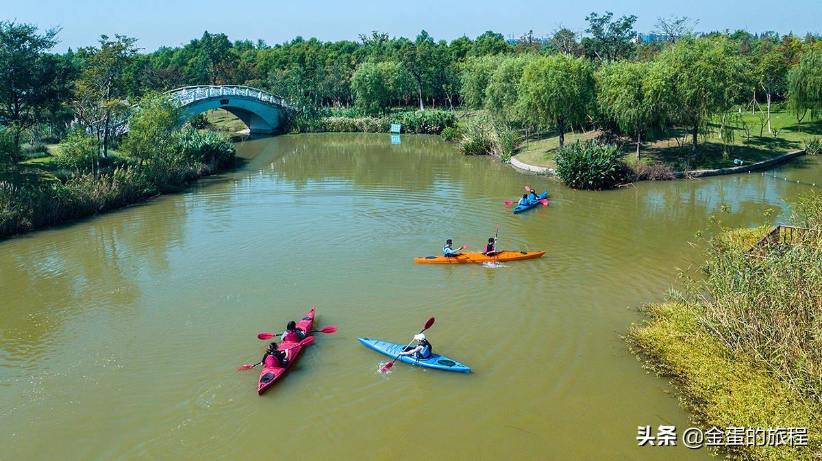 不出上海有哪些地方旅游,不出上海玩的景点排行榜