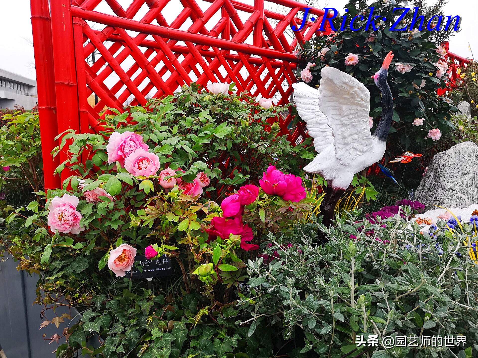 园艺研学报告,园艺园林研学