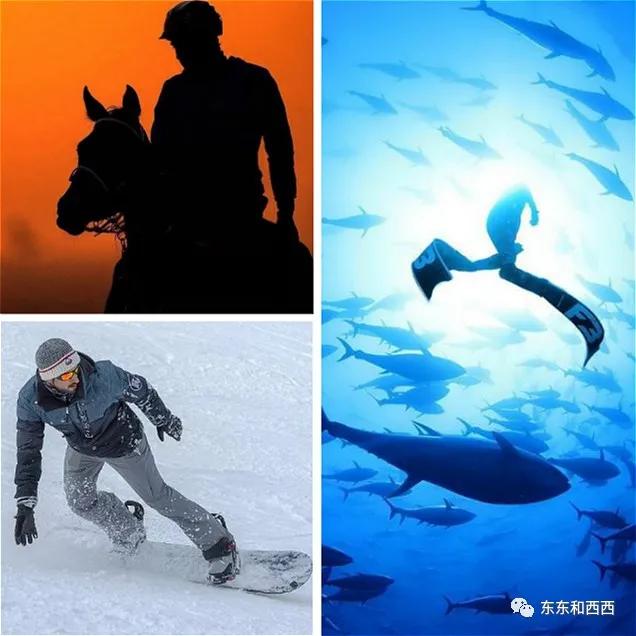 赌王何鸿燊的帅气照片,赌王何鸿燊年轻照帅