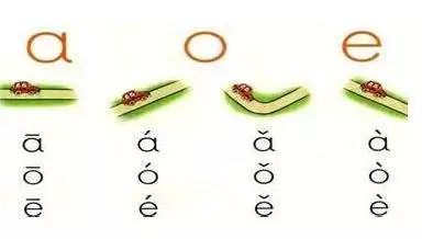 声母韵母拼读声调全表,声母韵母复韵母整体认读音节声调