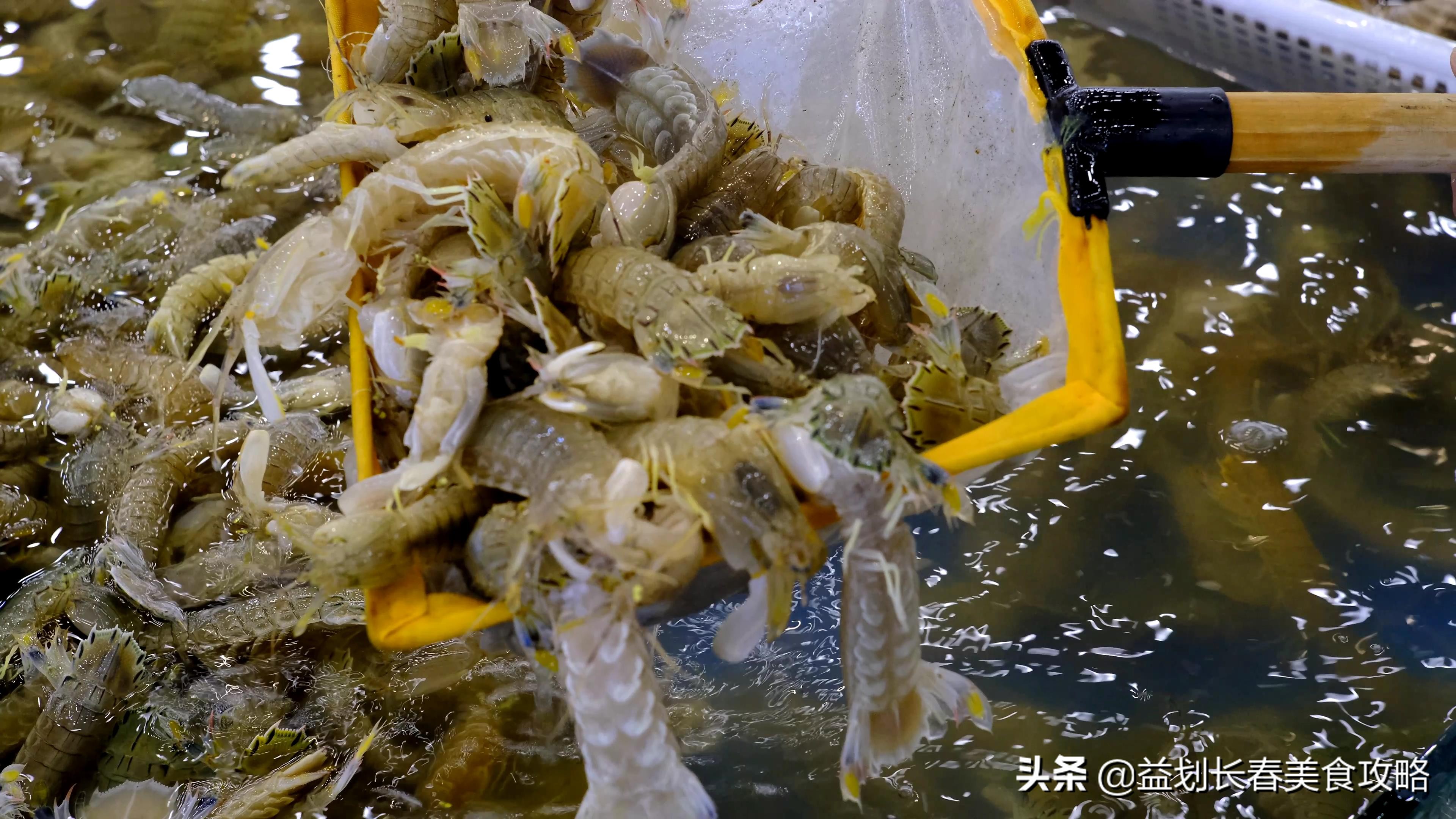 海鲜自助不超过100块钱的,海鲜自助蟹随便吃