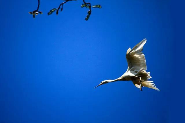 曹县魏湾镇各村姓氏分布,曹县魏湾地名