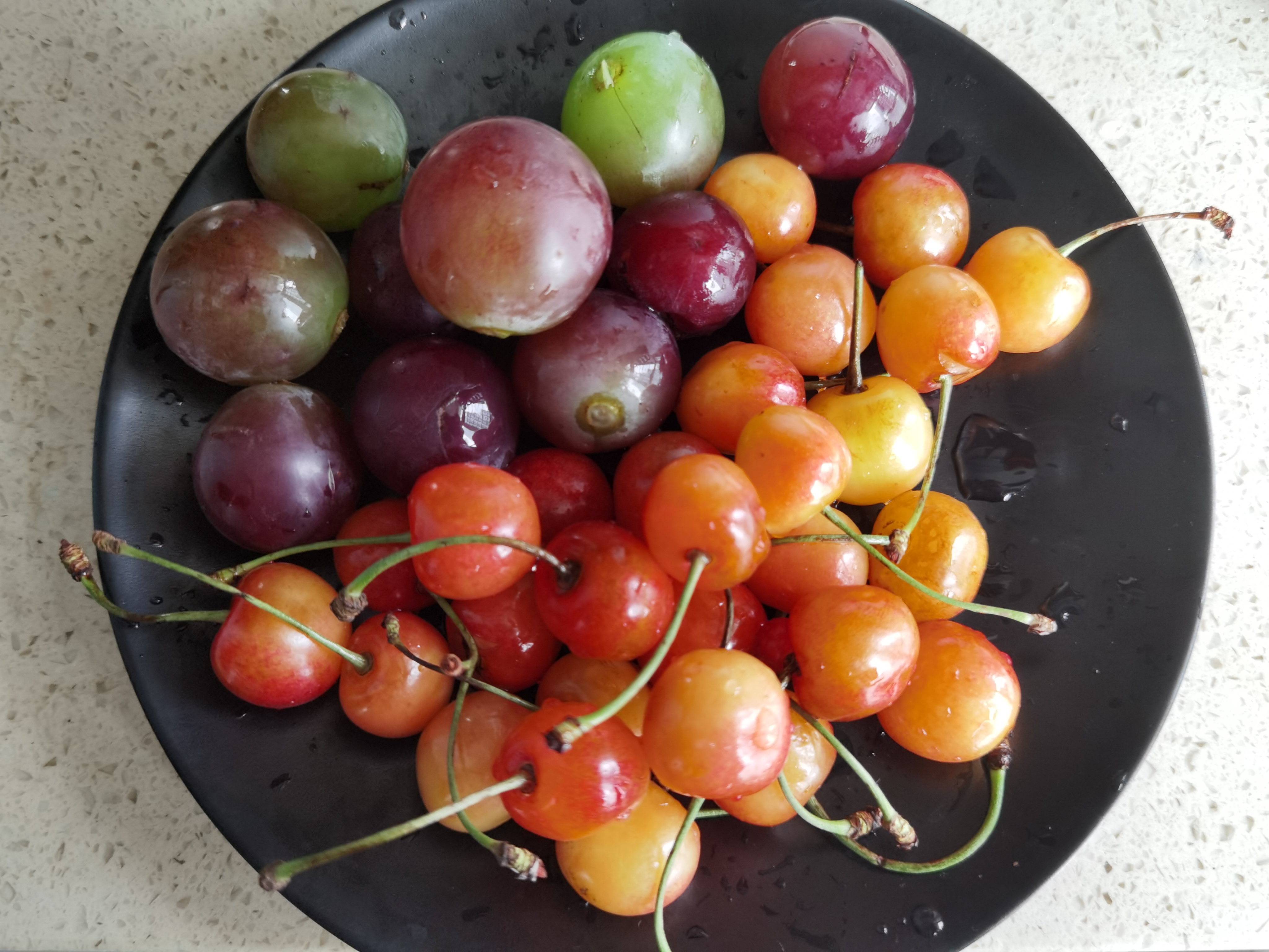 贝壳粉容易造假吗,贝壳粉测评