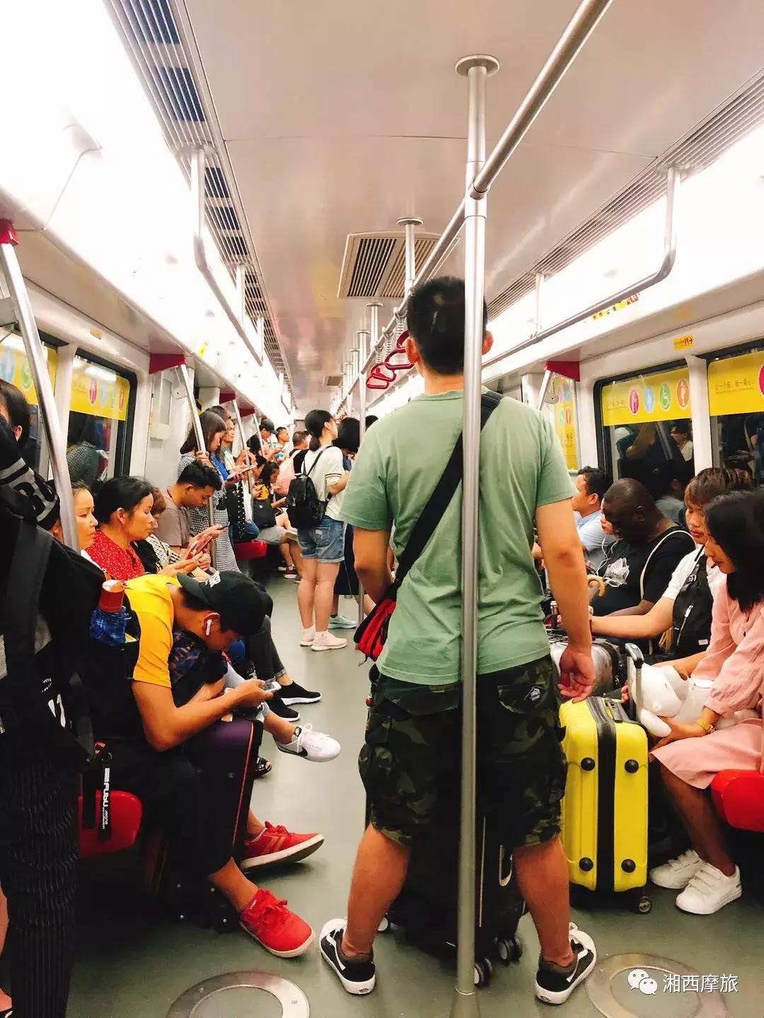 骑行大西北第十八天,麦田骑行第七十二天