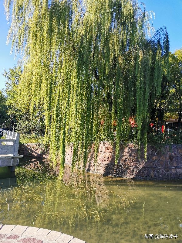 老夫妻总吵架如何相处,老夫老妻经常吵架怎么化解