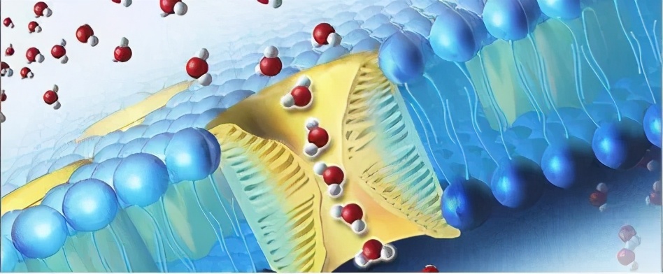 圣迪妮尔芙蓉霜正确的使用方法,圣迪妮尔芙蓉霜适合什么肤质