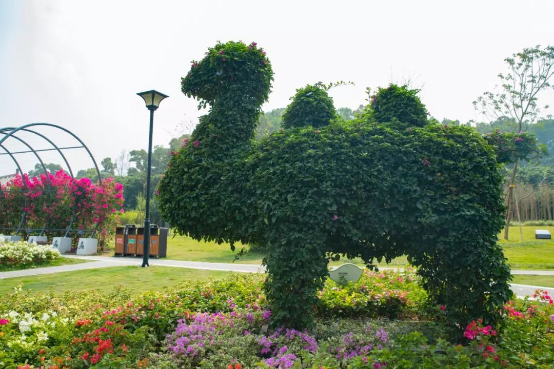 人少还免门票！深圳这片5000000㎡新公园美翻了，“神仙花谷”