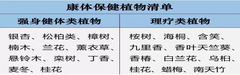 新城控股：康居产品“快枪手”